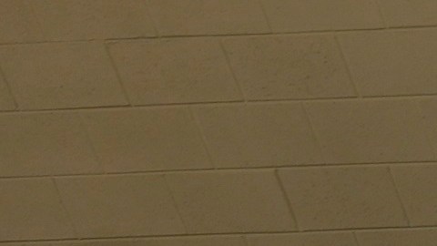 El enfoque de la oficina de la Hispanic Federation en Carolina del Norte y su red de unas 80 organizaciones miembros es la prestación de servicios a los latinos, también presta ayuda, entre otros, a la comunidad afroamericana, a otras minorías y a la comunidad LGBTQ.