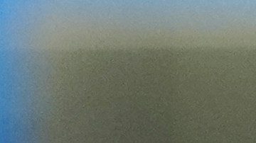 Celebración de Cole Palmer.