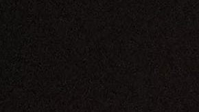 Lewis Hamilton entrena para su estreno con Ferrari rodeado de pingüinos en la Antártida