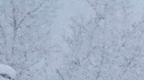 El fenómeno inició desde Canadá durante este fin de semana.