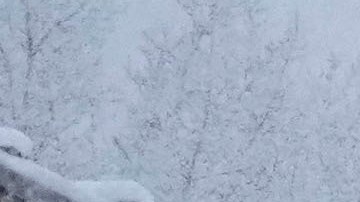 El fenómeno inició desde Canadá durante este fin de semana.