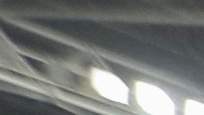 Los fanáticos de Botafogo disfrutaron al máximo de su primera Copa Libertadores.