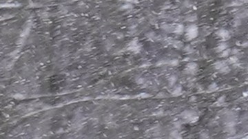 Se han reportado sumideros parecidos en la zona donde perdió la vida Pollard, el gran parte debido al hundimiento y desplazamiento de minas subterráneas en desuso.