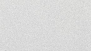 Musk y Ramaswamy defendieron la necesidad de la industria tecnológica de traer empleados extranjeros.