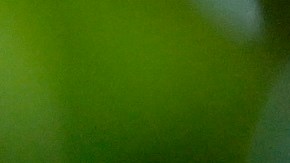 Lula dice que tomará "la decisión sobre 2026 en 2026" y que ahora se dedicará a "cosechar lo sembrado" por su Gobierno desde 2023.