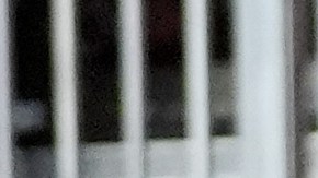 Messi incursionará en los dibujos animados gracias a Disney+.