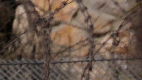 Israel ha reforzado su presencia militar en territorios estratégicos.