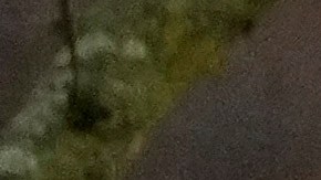 Exterior de la escuela cristiana Abundant Life en Wisconsin, escena de un tiroteo