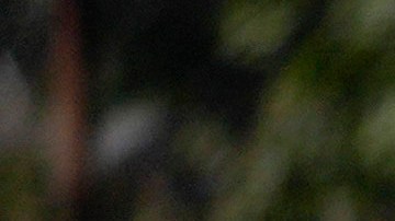 Donald Trump en North Carolina