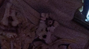 Congreso evita cierre de gobierno