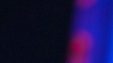 Trump se dedicará a movilizar a sus seguidores.