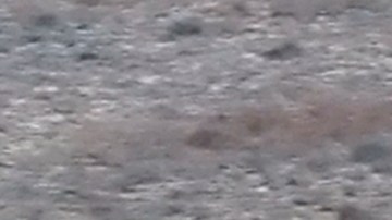 La aeronave involucrada es un Embraer 190.