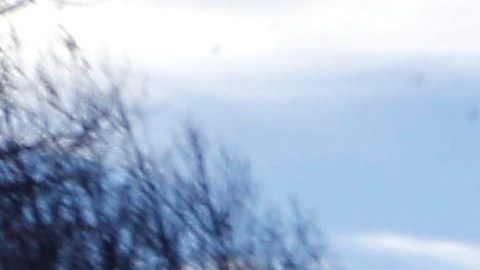 La desaparición de Claeys se reportó formalmente en 2019.