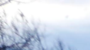 La desaparición de Claeys se reportó formalmente en 2019.