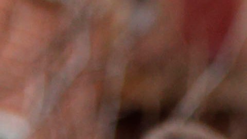 Los robos, asaltos, violaciones y allanamientos tuvieron también un aumento, dejando a los residentes más cercanos desconcertados por tanta violencia.