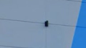 El evento familiar fue para soltar globos por la llegada del año nuevo.