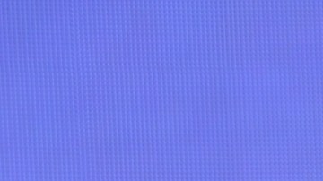 Adamari López, actriz y presentadora puertorriqueña de televisión.