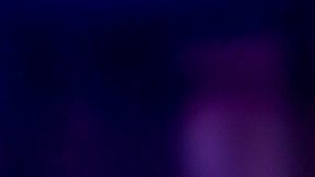 Adamari López decoró su árbol combinados detalles dorados y blancos.