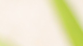 El retiro se produce porque descubrieron que "el sello hermético de la tapa de las latas puede estar dañado", lo que puede generar la contaminación del producto.