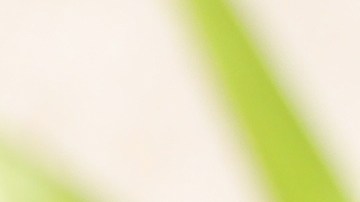 El retiro se produce porque descubrieron que "el sello hermético de la tapa de las latas puede estar dañado", lo que puede generar la contaminación del producto.