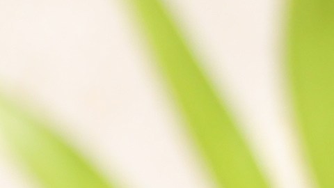 El retiro se produce porque descubrieron que "el sello hermético de la tapa de las latas puede estar dañado", lo que puede generar la contaminación del producto.