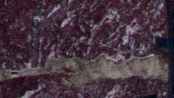 Alejandra Guzmán en el velorio de su madre, Silvia Pinal.