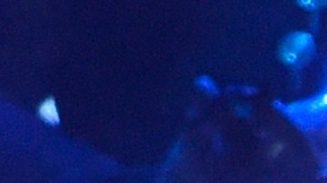 Alejandro Fernández desmintió los rumores sobre su orientación sexual.