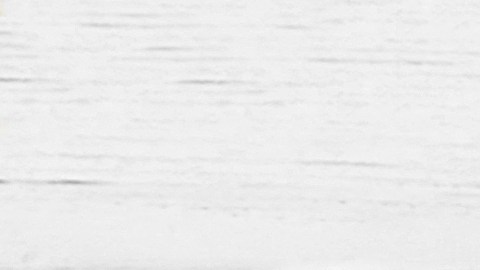 Un estudio reciente comprobó la relación entre la cantidad de los antioxidantes y los beneficios para el cerebro.