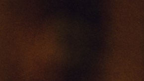 Los alimentos ultraprocesados y el alcohol causan daños en el cerebro.