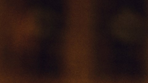 Los alimentos ultraprocesados y el alcohol causan daños en el cerebro.