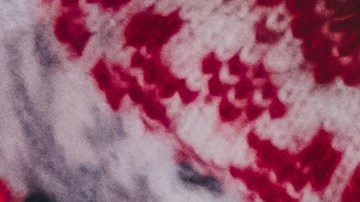 Evite consumir alimentos ácidos, grasosos, el alcohol o picantes, ya que irritan el estómago.