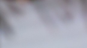 Ana Patricia Gámez, presentadora de televisión.