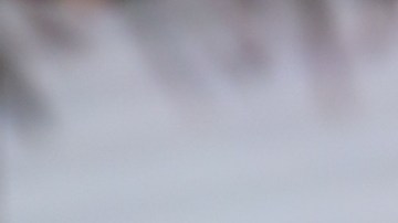 Ana Patricia Gámez, presentadora de televisión.