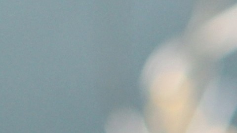 Los bocaditos de pepino y salmón son deliciosos y fácil de preparar.