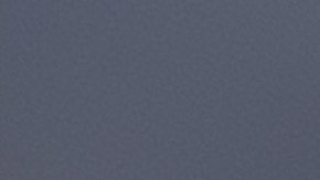 Los frutos rojos y las bayas tiene mayor cantidad de antioxidantes que el resto de las frutas.