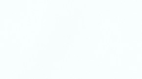 Un chef revela las claves para un buen sofrito para realzar el sabor del arroz.