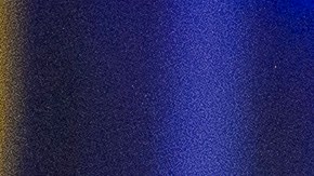 El presidente electo Donald Trump es más popular que el presidente Joe Biden, según la encuesta.