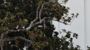 El presidente de Estados Unidos, Joe Biden, habla junto a su esposa, Jill Biden, durante un acto con motivo del Día Mundial Contra el Sida, este domingo en la Casa Blanca, en Washington (Estados Unidos).