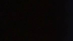 El presidente Joe Biden dijo que, junto a la primera dama Jill Biden, está rezando por las víctimas del tiroteo en Wisconsin.