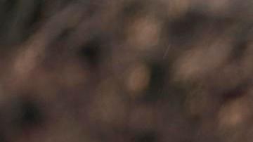 El presidente Joe Biden y la primera dama Jill Biden acostumbran ir de vacaciones a las Islas Vírgenes.