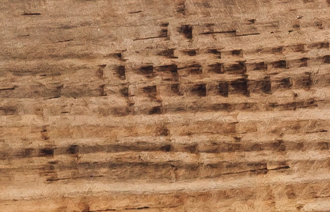 Dale un toque especial al bol de vegetales agregando la salsa Buffalo.