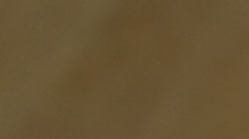 Aprende a preparar el brócoli para aprovechar al máximo sus nutrientes.