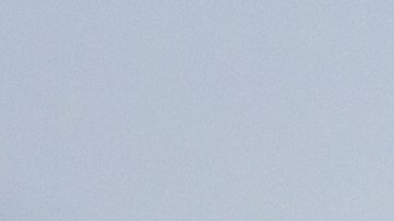 CBP puede saber si usaste tu visa de turista para trabajar en EE. UU.