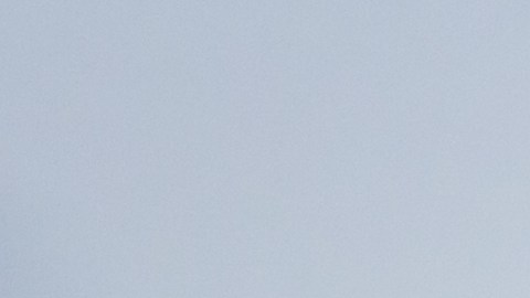 CBP puede saber si usaste tu visa de turista para trabajar en EE. UU.