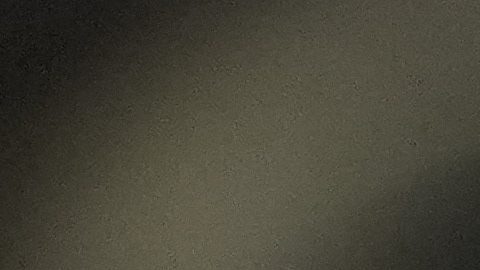 Sergio Perez durante las prácticas del GP de Qatar.