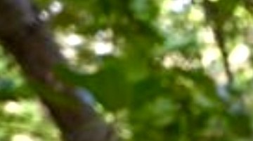 Los cuerpos fueron trasladados al médico forense, También anunciaron el arresto de cuatro personas.