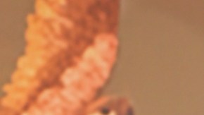 Carlos Adyan, presentador puertorriqueño de televisión.