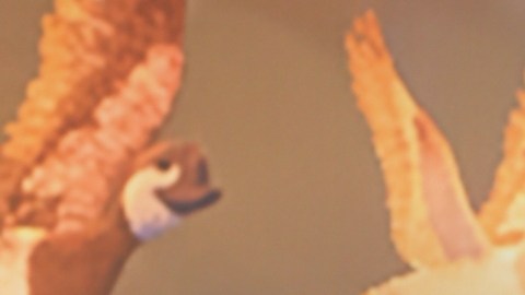 Carlos Adyan, presentador puertorriqueño de televisión.