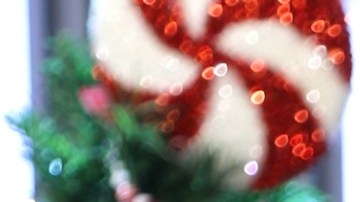 Carolina Sandoval, presentadora de televisión.