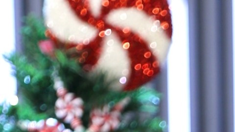 Carolina Sandoval, presentadora de televisión.